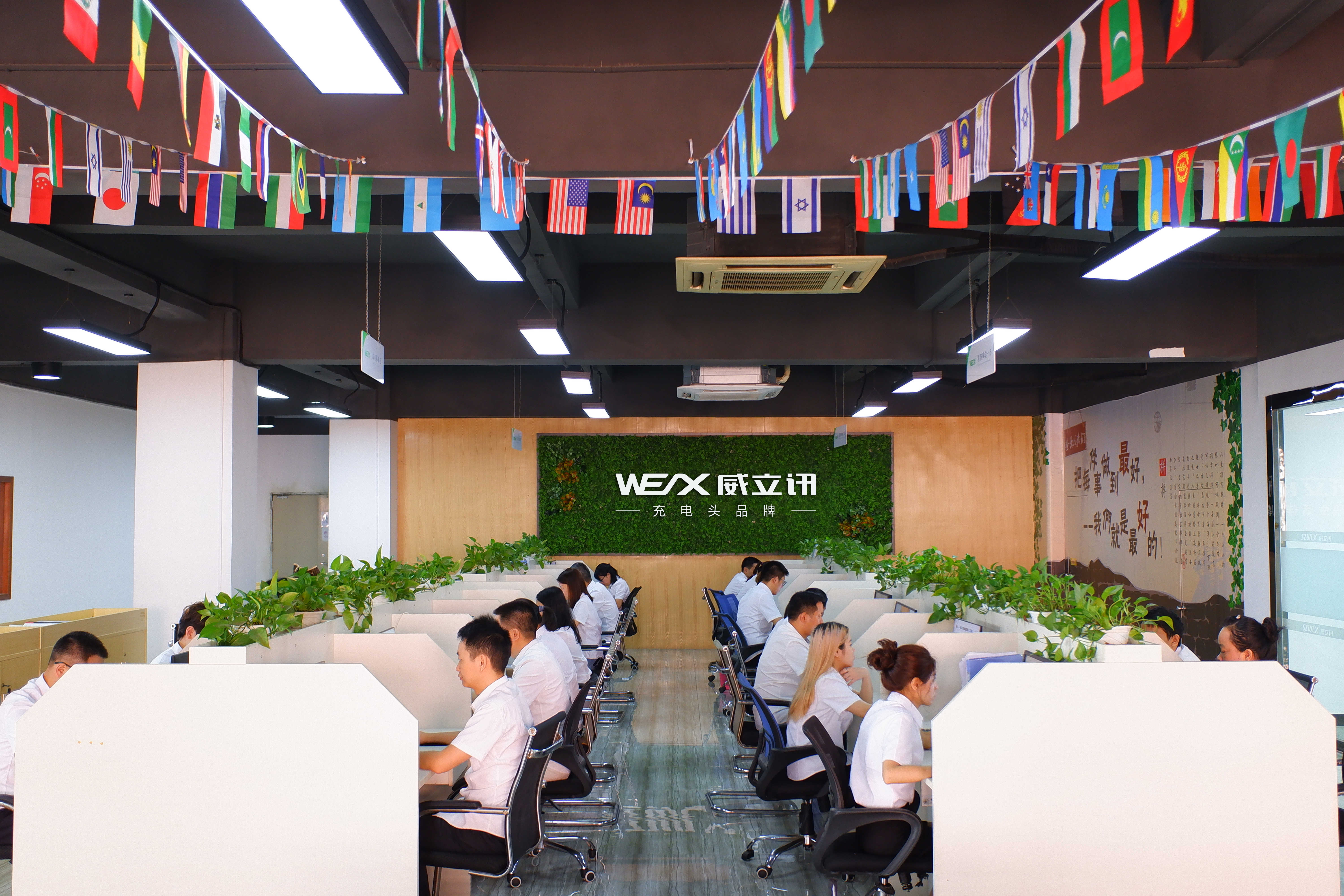 Shenzhen Weilixun Electronics Co., Ltd. USB charger