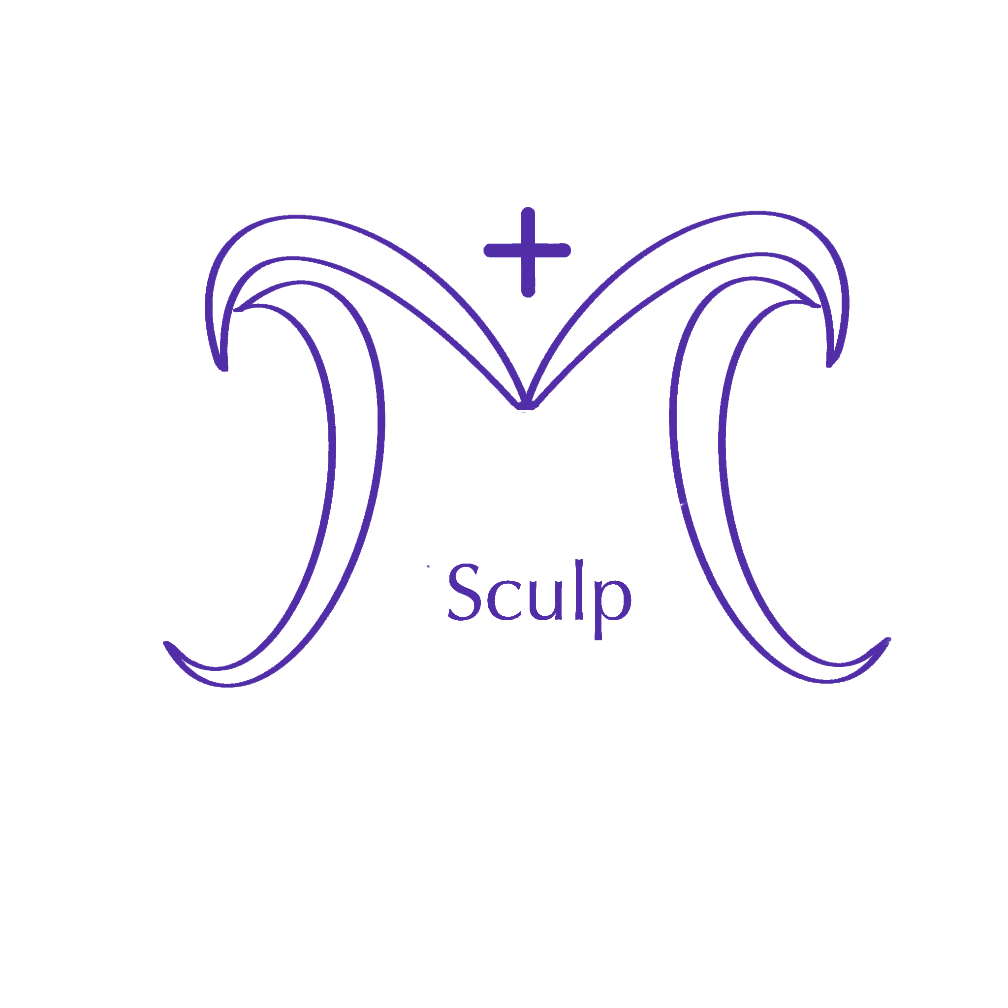 SculpMed Medical Devices (Taizhou) Co., Ltd. logo