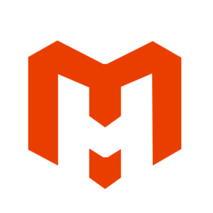 Company icon