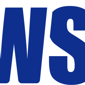 Company icon