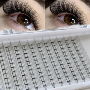 Dradon 3D 4D 5D 6D Pbt Fiber premade lash extensions fans Short Stem Volume Fans Flat Stem private label lash extensions