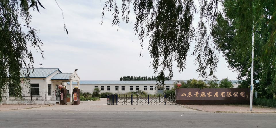 Shandong Qingteng Home Co., Ltd. logo
