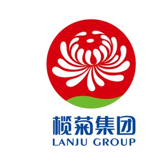 Company icon