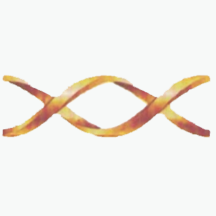 Jiangyin Shenfei Knitting Co., Ltd logo