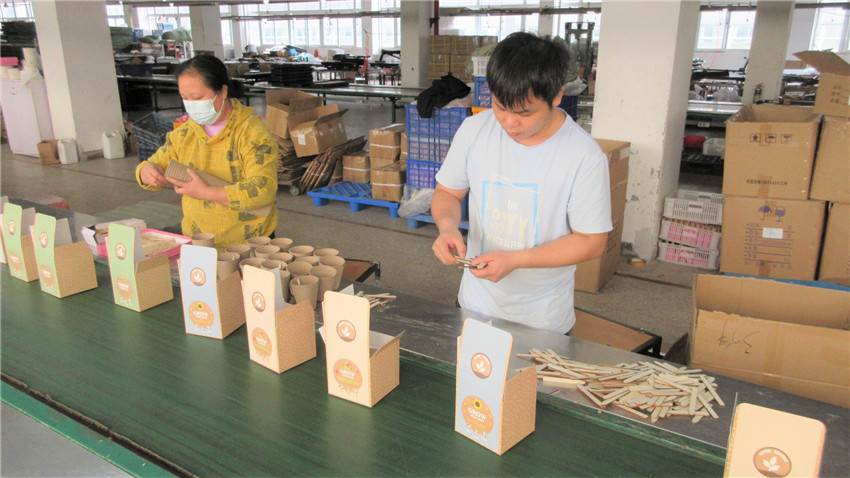 Plant Fun (Xiamen) Co., Ltd. Bonsai Kit