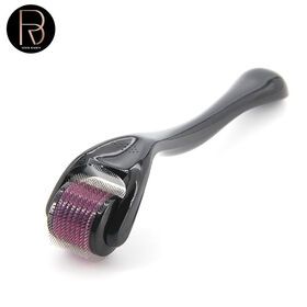 Beauty Equishoes 0.5 Mm Ce Ice Roller Iceroller Micro Needle Zgts Derma Roller Medical Titanium for Face Medical Stainless Steel