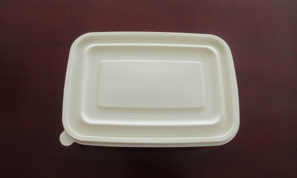 TMyFe7mCtFSYZcxrtuKS6brsMKUBpcVC9Dnjdl5t8JEr31EvaZuVkdIDkWGL6rhg.jpg