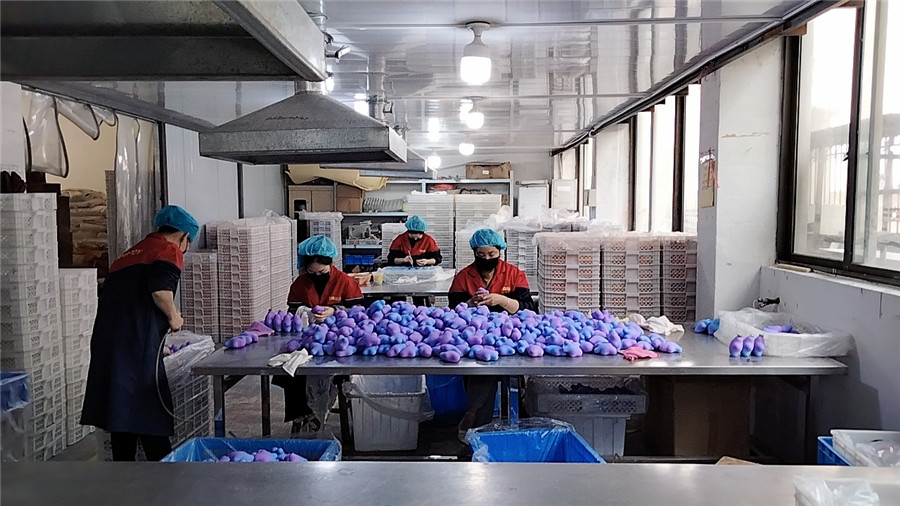 Yiwu Flybear Toy Co., Ltd. Squishy Toys