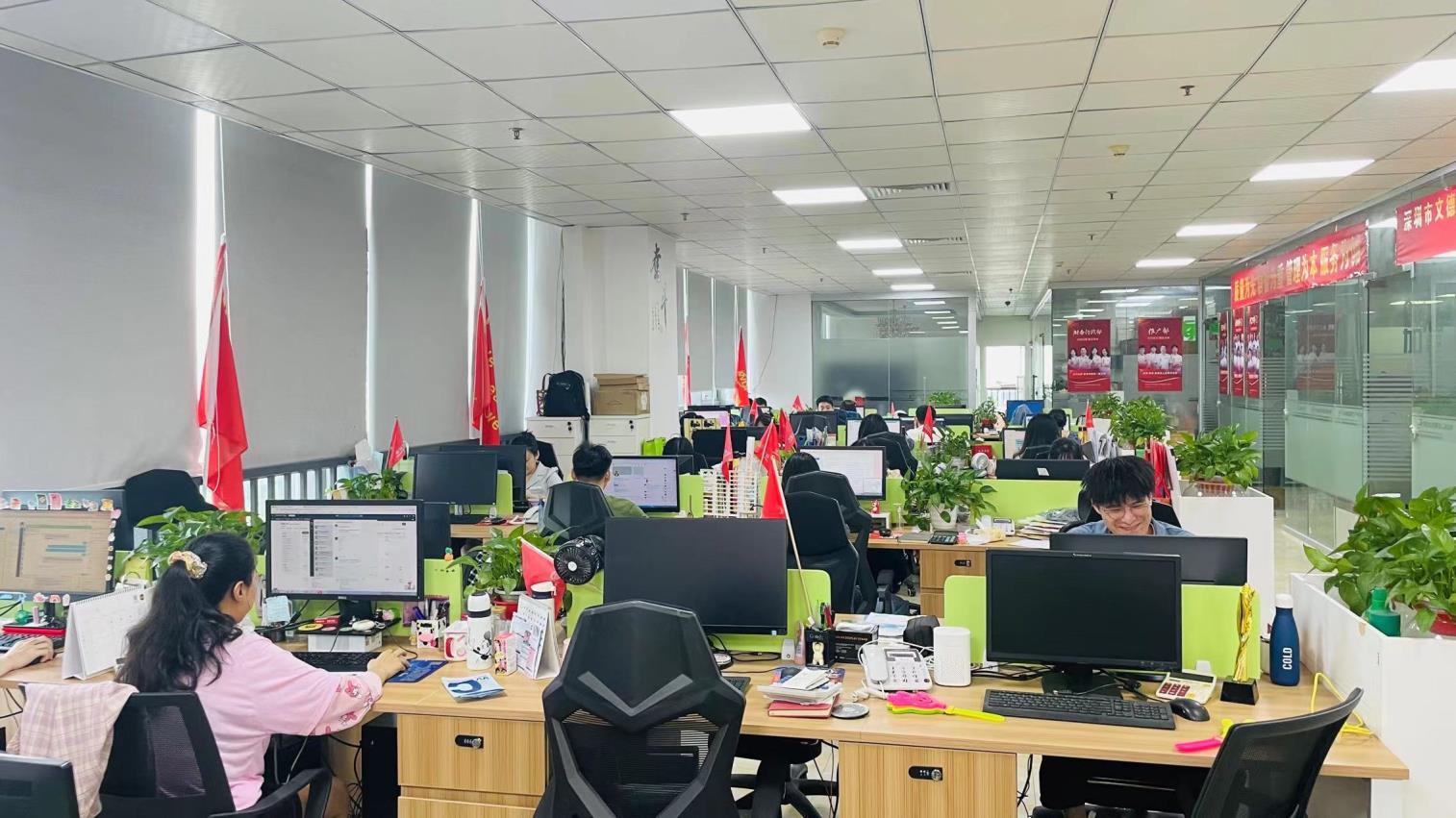Shenzhen Wonderful Technology Co., Ltd. PCB Assembly (PCBA)