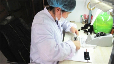 Qingdao Kelly Lash Cosmetic Co., Ltd. Eyelash Extension