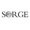 Shantou Sorge Electric Co., Ltd. logo