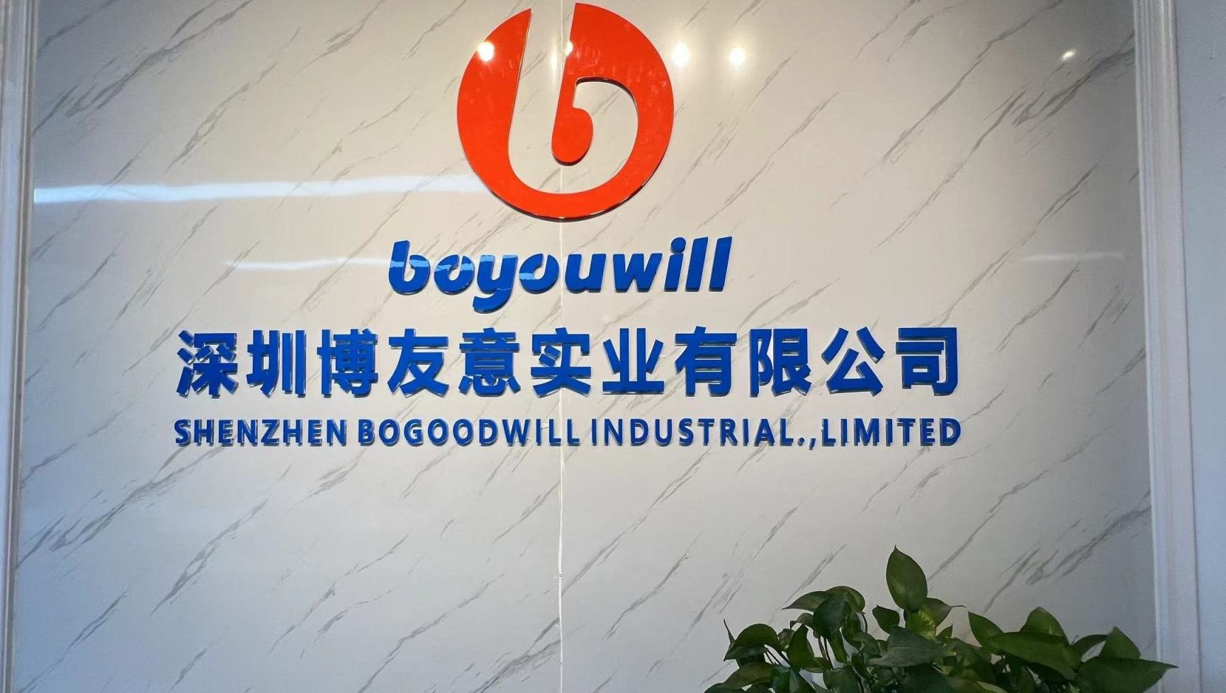 Shenzhen Bogoodwill Industrial Co., Ltd. TWS Earbuds