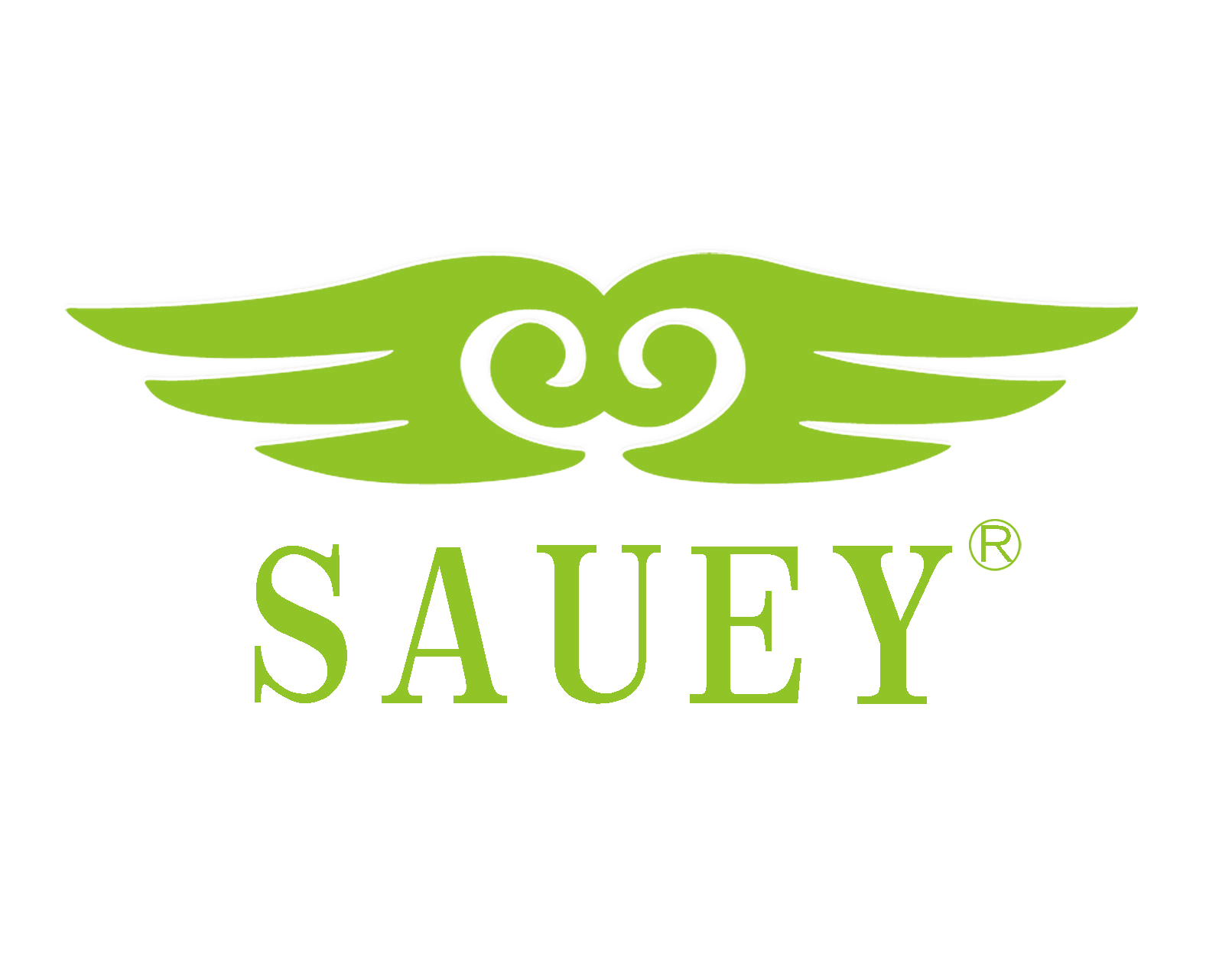 Guangzhou Sauey Electrics Co., Ltd. logo