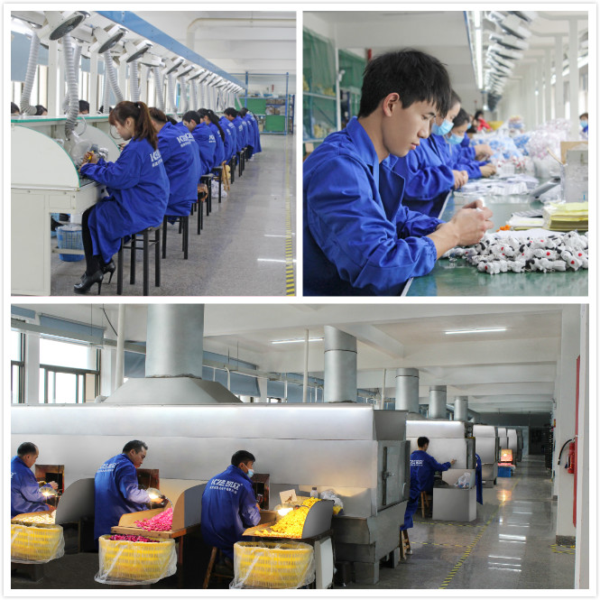 Fujian Kaizhong Electronic Co., Ltd. sound pen
