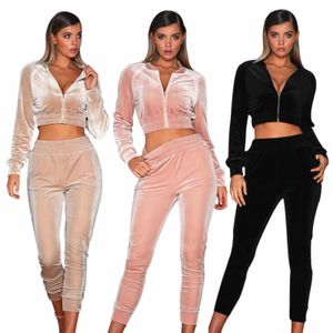 wholesale custom velvet heavy weight 2 piece set clothing velour zip crop top jogger set sport tracksuits for women