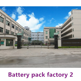 Dongguan Lewe Electronics Co., Ltd. Li-ion Battery Pack