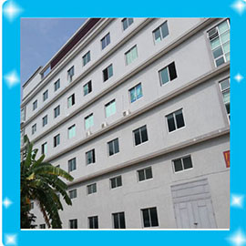 Zhongshan Zhensheng Electronics Tech Co., Ltd. Earphone