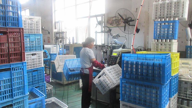 Yongkang Zorin Industry Supply Co., Ltd Car Side Awnings