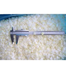 vegetables frozen onion diced