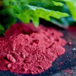 Supply Dried Red Beet Root Powder Beetroot Extract Organic Beetroot Powder.