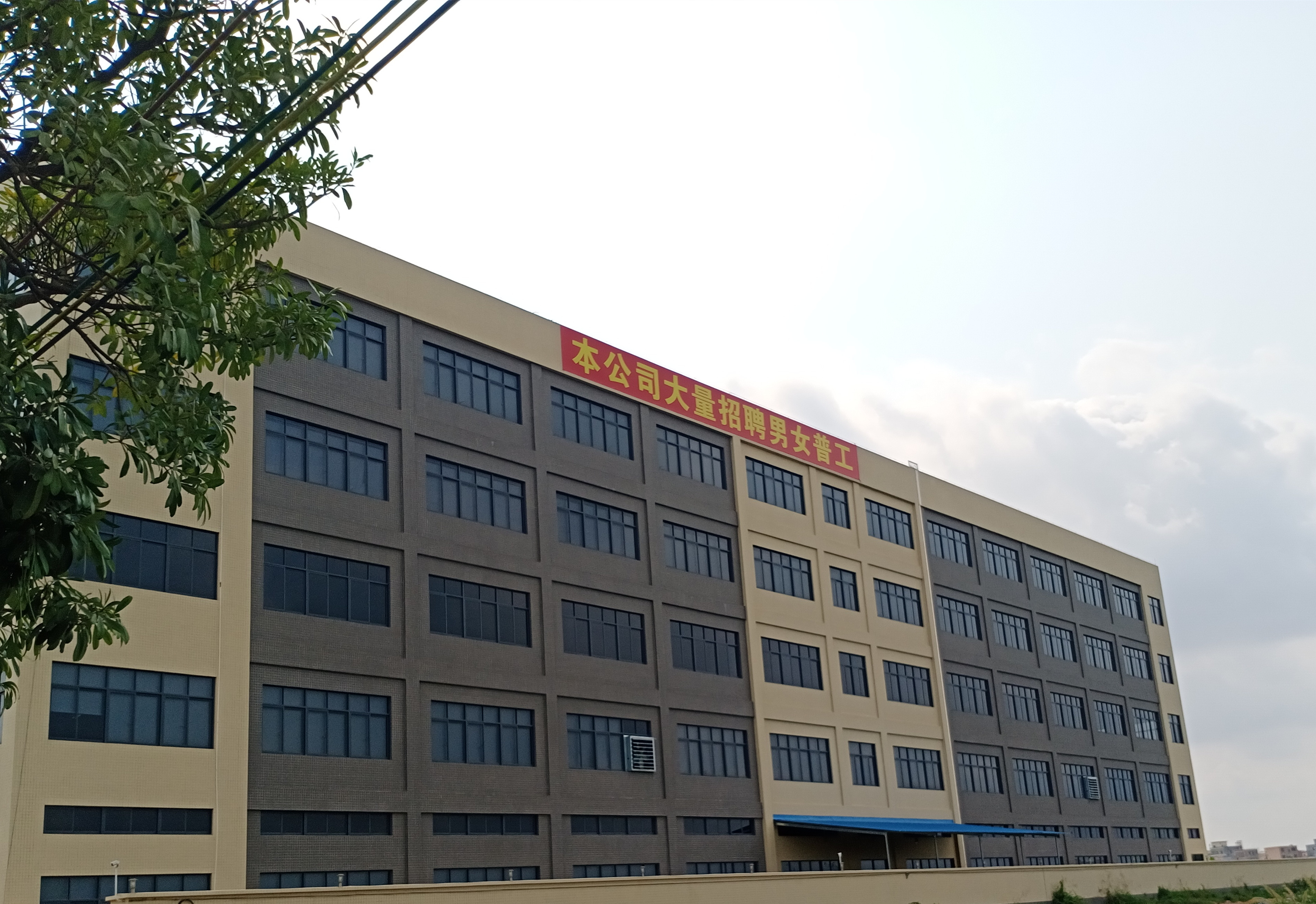 Huizhou Lucky Stone Technology Co., Ltd. Roller Skates
