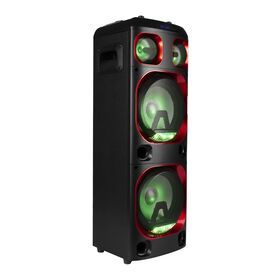 100W double 12 inch bluetooth party speaker with RGB light