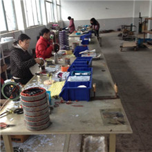 Changzhou Leili Vehicle Parts Co., Ltd. Enduro Ebike