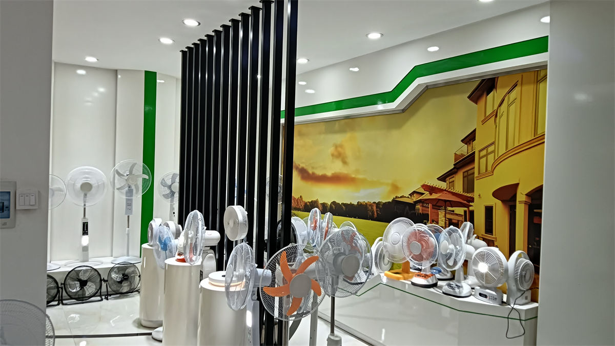 Brady Technology (Shenzhen) Co., Ltd. 12V DC Fan