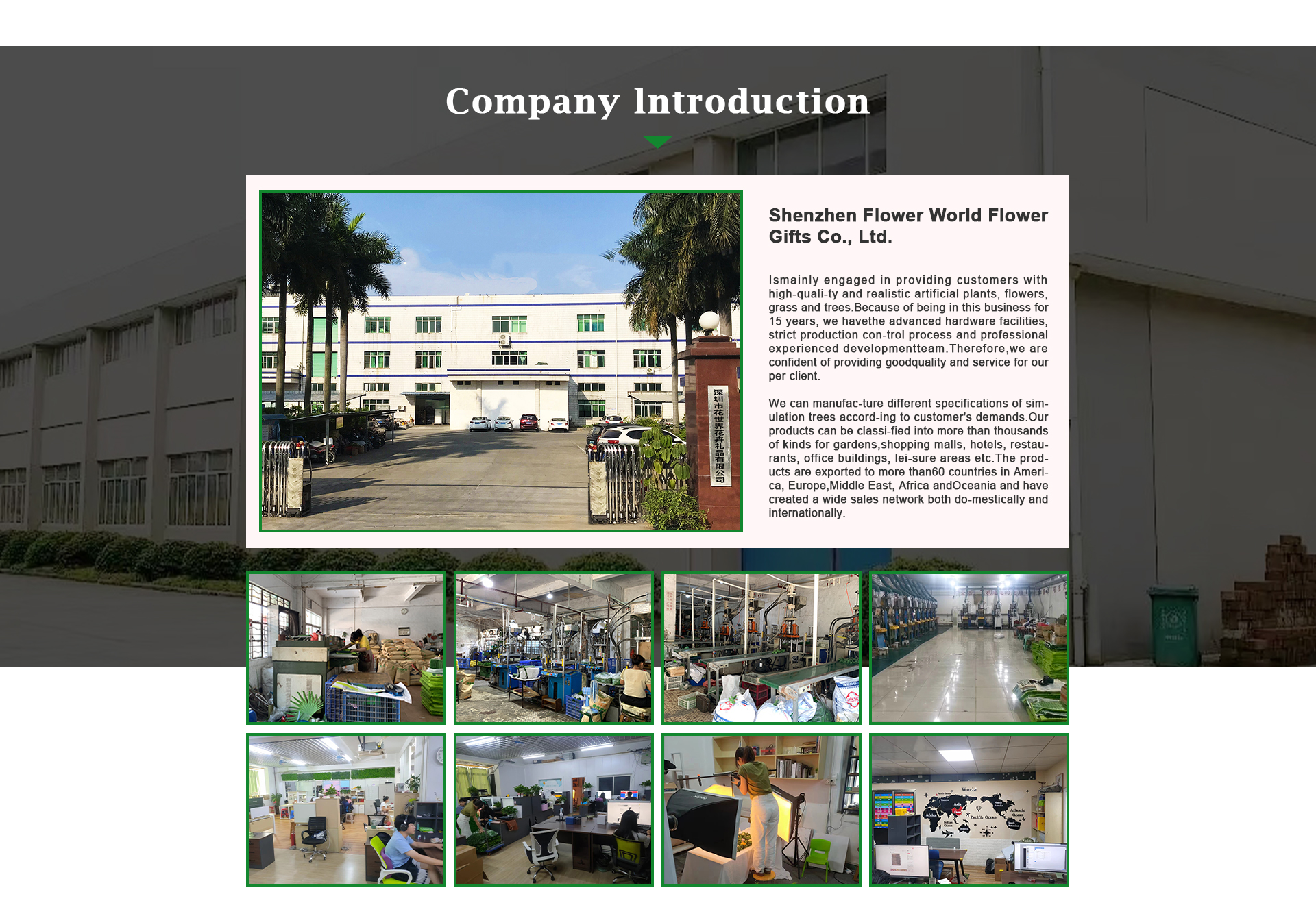 Shenzhen Flower World Flower Gifts Co., Ltd. Simulation green plant