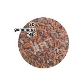 aquarium fish small dried gammarus& shrimp feeder reptile food pet food