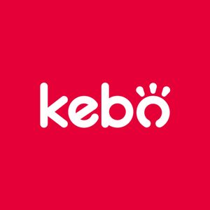 Company icon