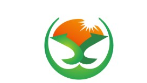 Company icon