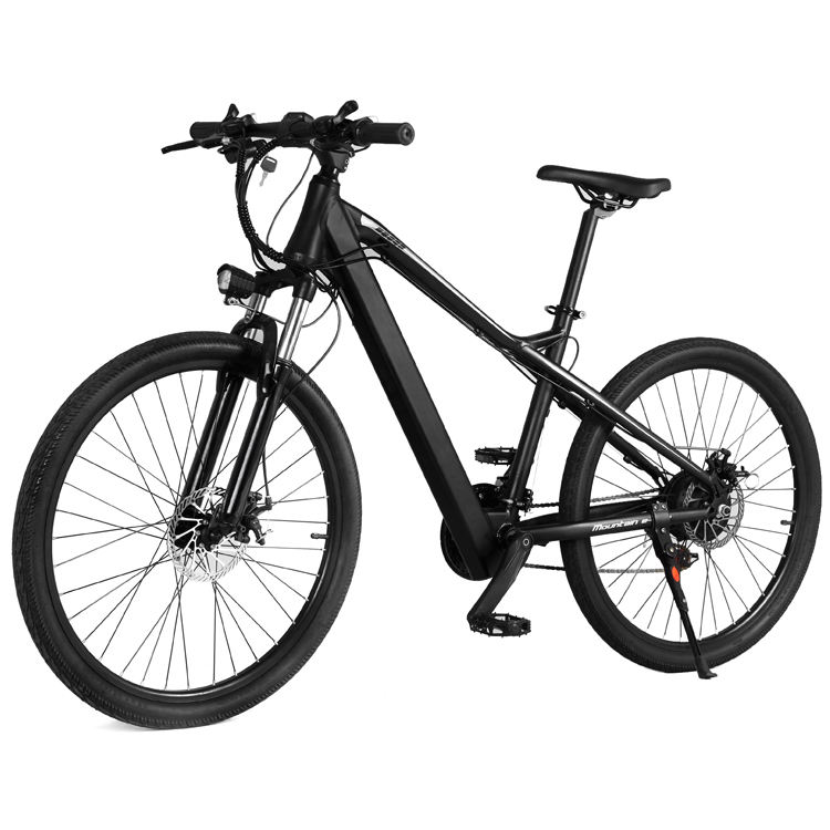 Dongguan Hongyanyan Manufacture&Trading Co., Ltd. Thick Tire Stepper Alloy Aluminum Frame Urban Commuting Electric Bicycle 48V Lithium Battery 7-speed LCD Display