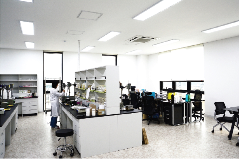 MIRFEEL KOREA CO., LTD Face Mask