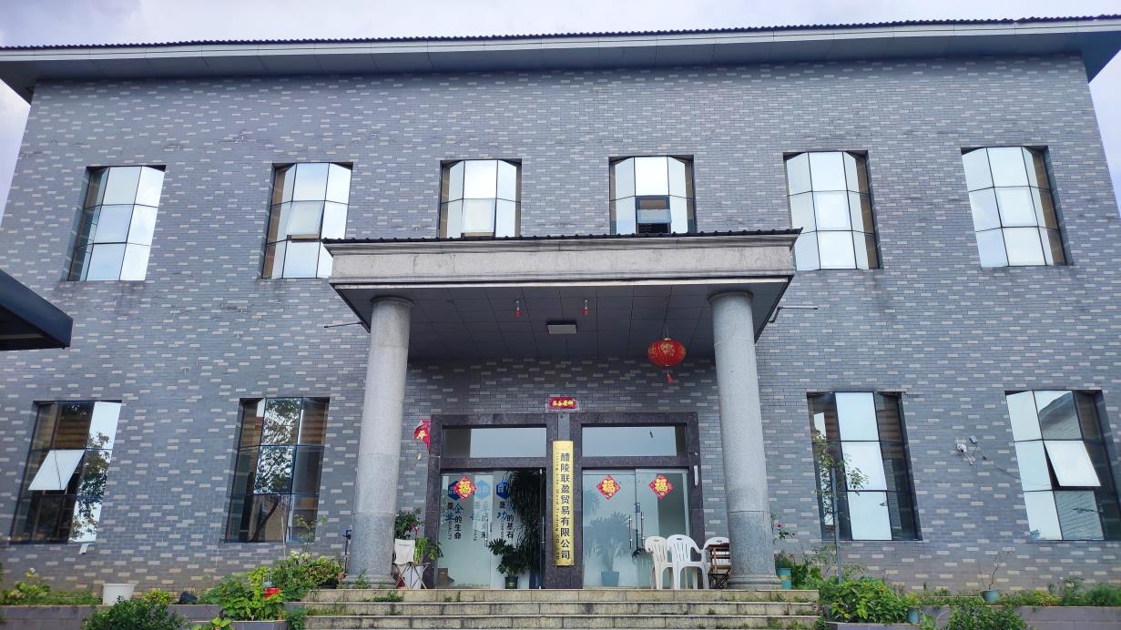 Liling Life-Word Trading Co., Ltd. Dinnerware Set