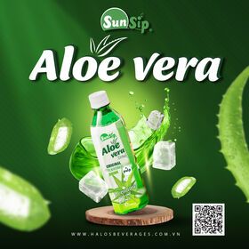Manufacturer of Aloe Vera Juice with Pulp - Original Flavor 500ml PET Botlle