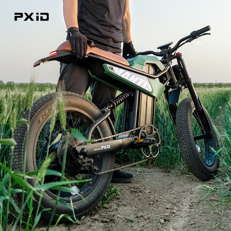 Huaian PX Intelligent Manufacturing Co., Ltd. PXID 2024 New Model P6 Fat Tire E-bike 20AH 35AH Lithium Battery Electric Mountain Bike