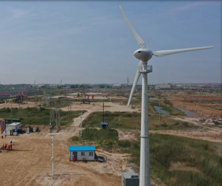 ESG CE 3 Phase Permanent Magnet Alternator 600w 3 Blades Wind Turbine Generator for Home Use Powerful