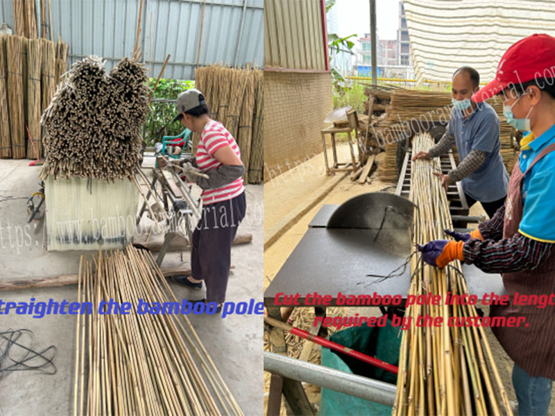 Sunbelt Group Co. Ltd. Bamboo Fencing