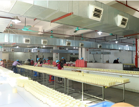 Dongguan Lambey Commodity Co., Ltd. Tin Can Candles