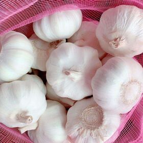 Vegetables Fresh Pure White Garlic Good Quality Garlic Wholesale
