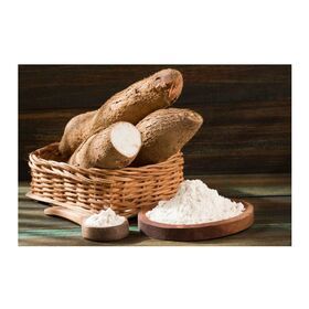 High Quality Food Grade Modified Tapioca Starch Factory Price Modified Organic Tapioca Starch