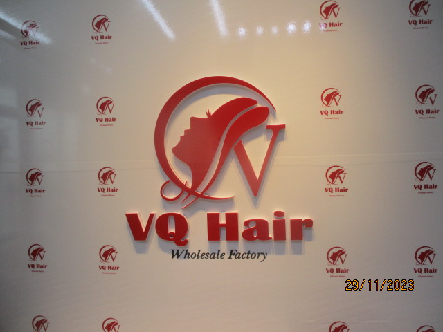 VQ MANUFACTURING TRADING COMPANY LIMITED Human Hair Wigs