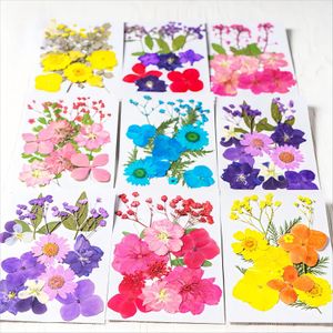 Bulk Wholesale High Quality Pressed Flowers Natural Dried Flowers for Soap Candle Making Resin Crafts DIY Materials