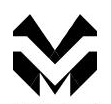 Company icon