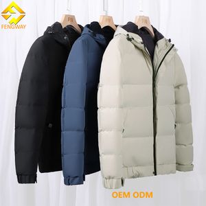 Wholesale Outdoor Light Warm Jacket Custom Logo Nylon Winter Bubble Coat Hooded Puffer Jackets For Men