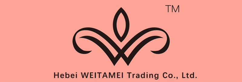 Hebei Weitamei Technology Co., Ltd. logo
