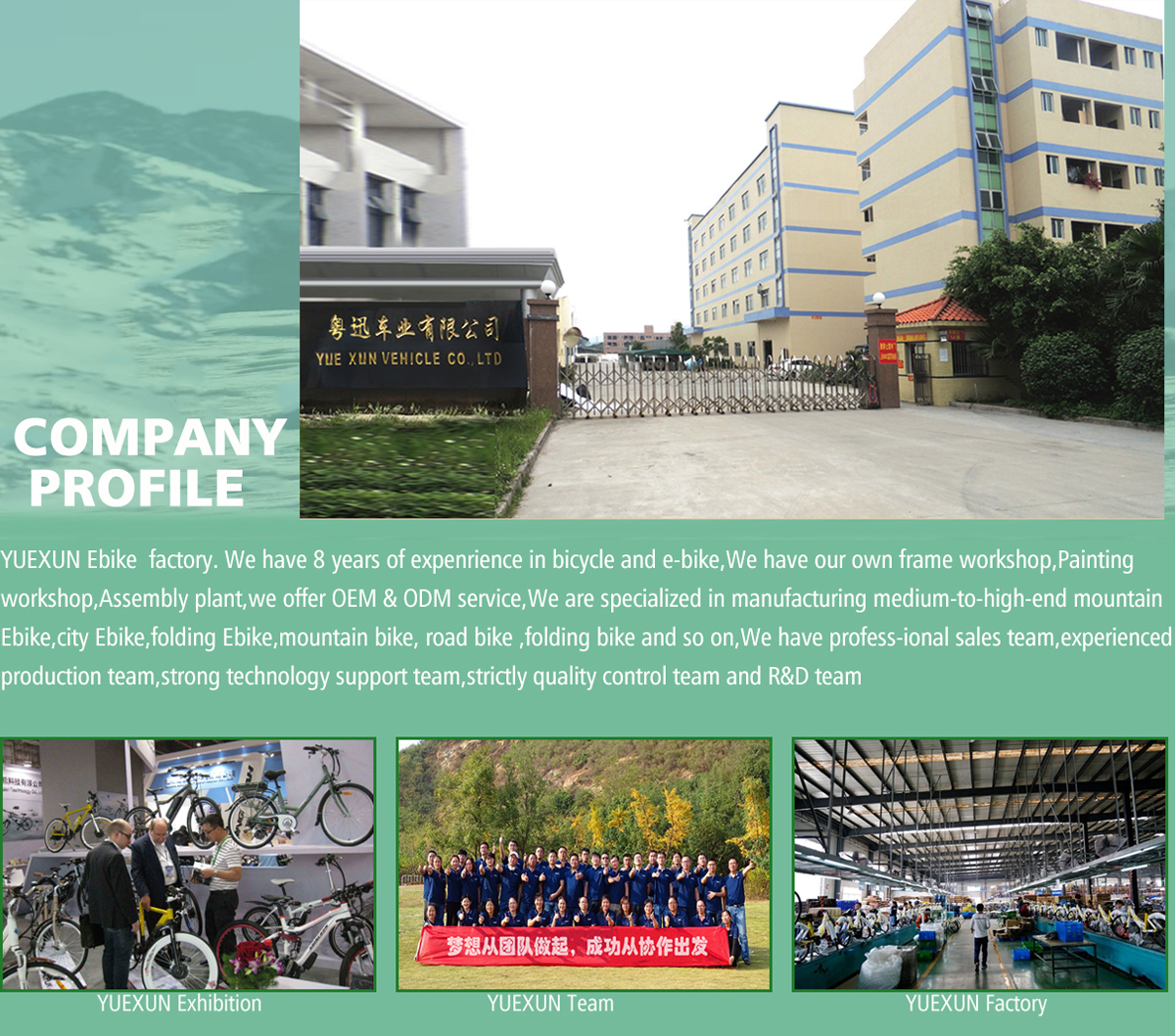 Foshan Yuexun Vehicle Industry Co., Ltd. Electric Bikes