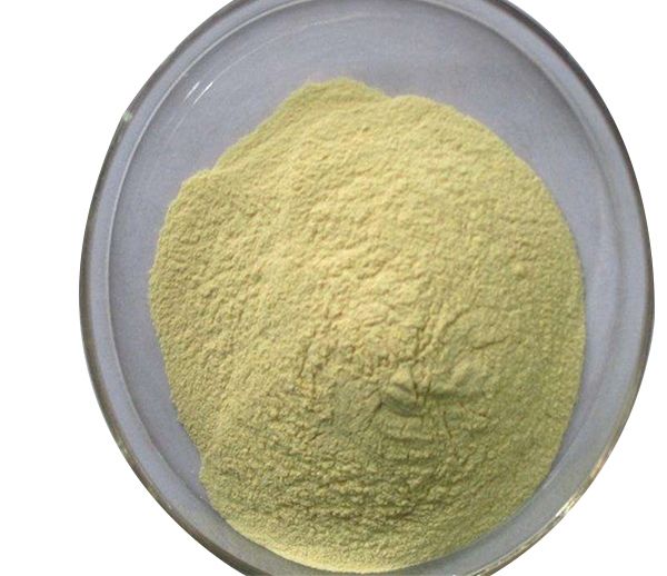 New Crop Year Feed Grade Amino Acids Dried Wheat Bran for Fish Dog Pig Horse Shrimp Food Grain Animal Food in Bag Packaging