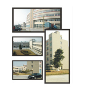Zhejiang Tianlong Group Co., Ltd. Tennis Ball